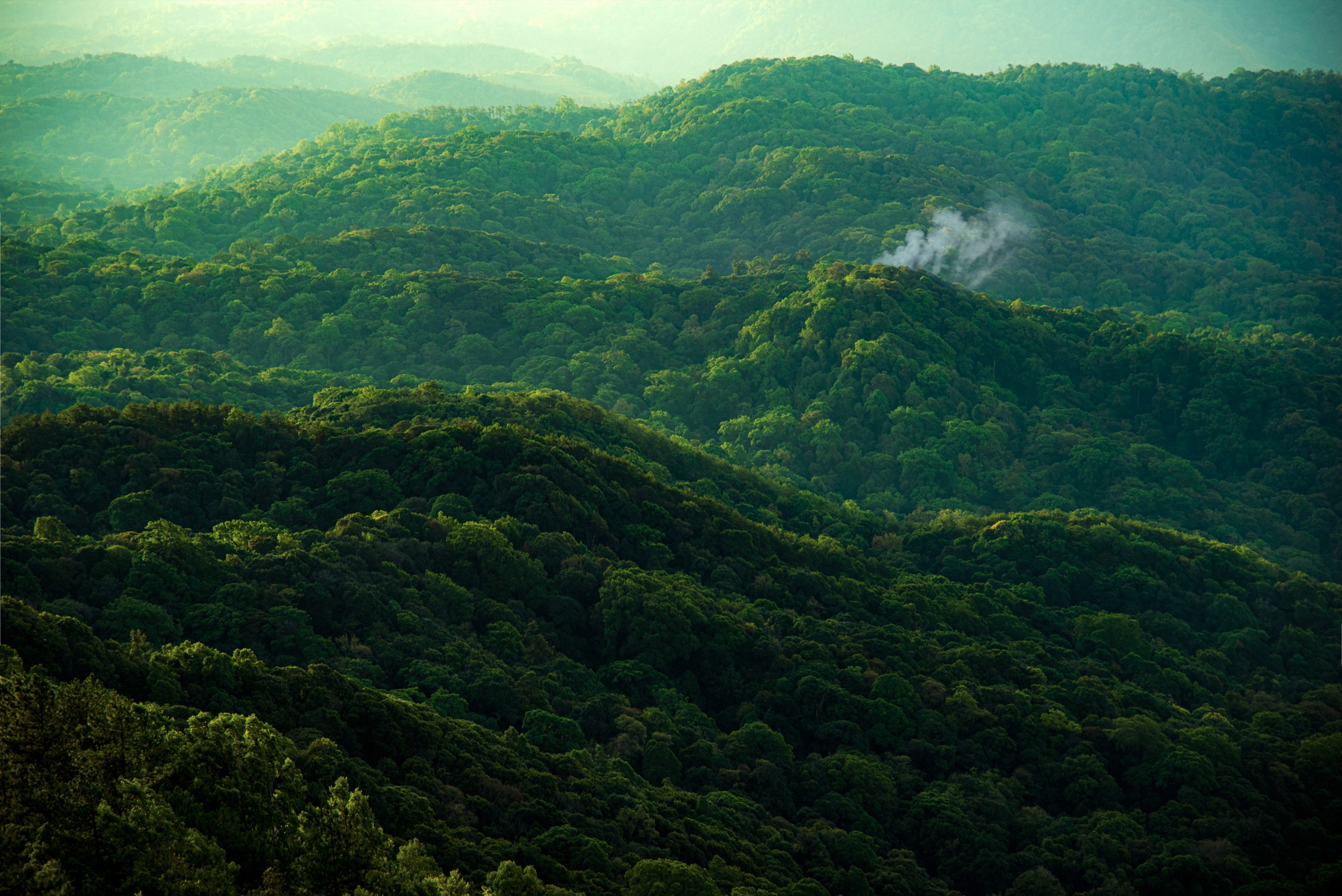 Layered ridges of dense misty forest with a thin smoke plume rising